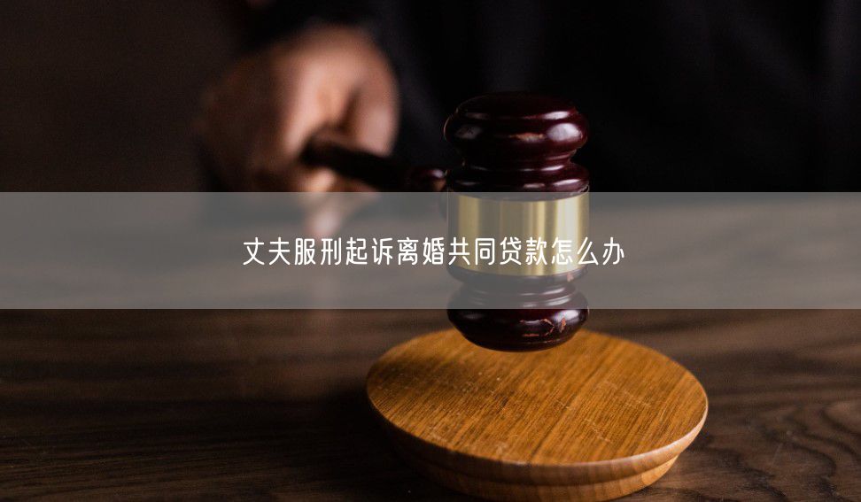 丈夫服刑起诉离婚共同贷款怎么办