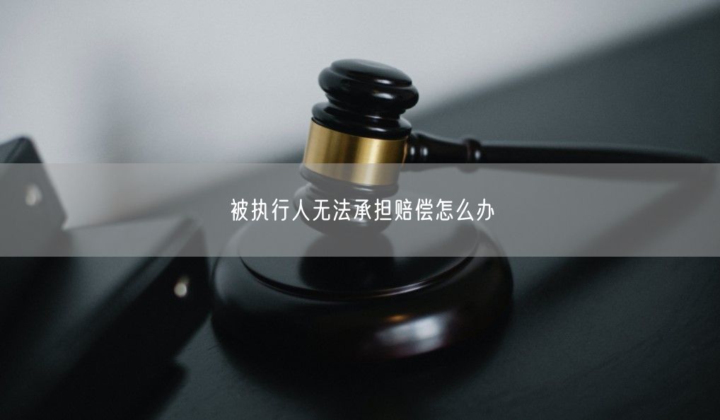 被执行人无法承担赔偿怎么办