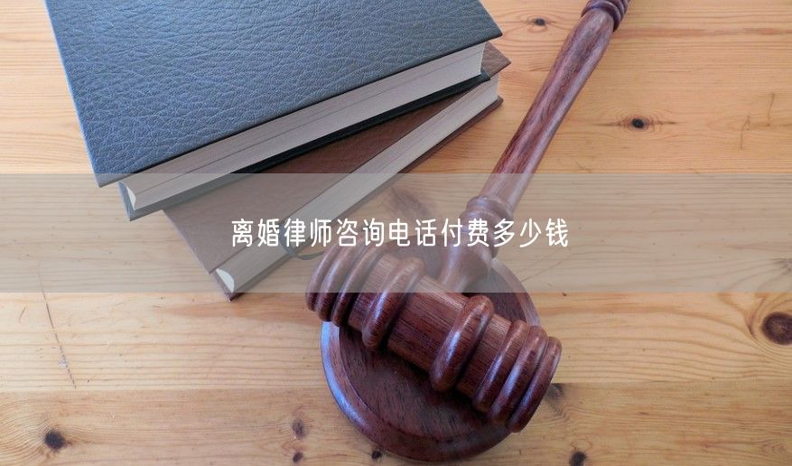 离婚律师咨询电话付费多少钱