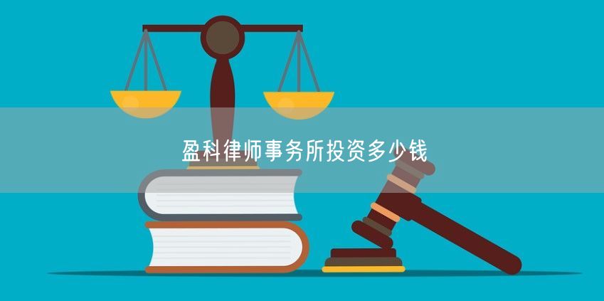 盈科律师事务所投资多少钱