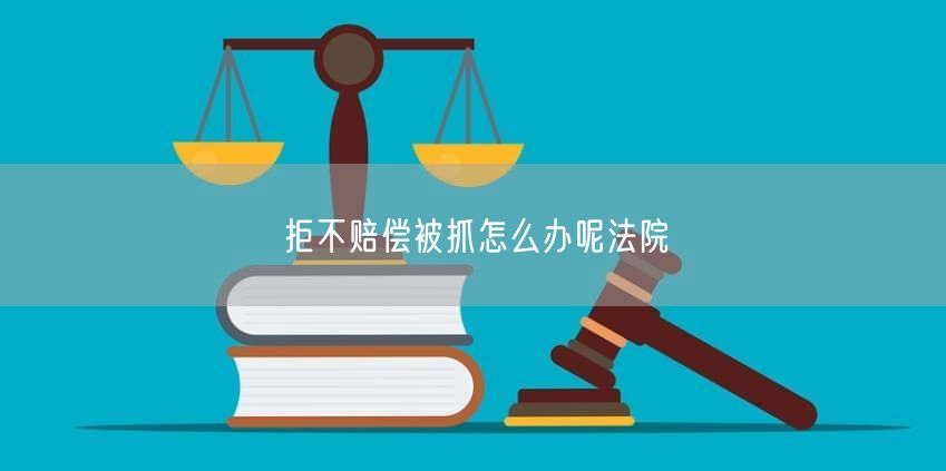 拒不赔偿被抓怎么办呢法院